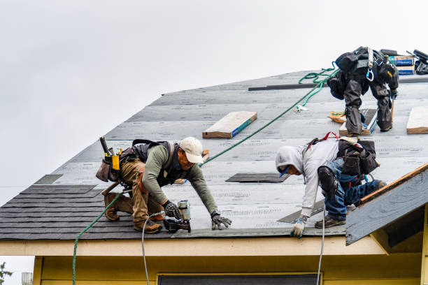 Professional Gutter Installation technician working in Chilo, OH